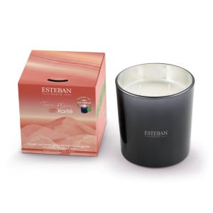 Bougie parfumée rechargeable 450g