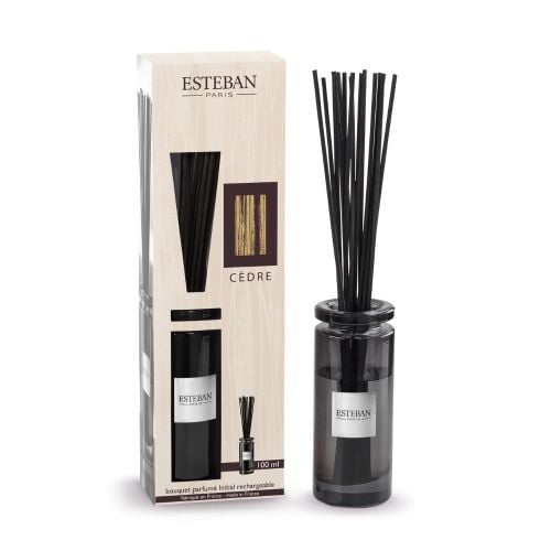 Scented bouquet initial 100ml