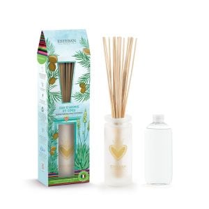 Bouquet parfumé Eau d'agave et coco rechargeable 100ml