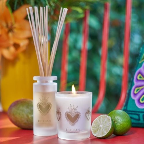 Bouquet parfumé Mangue et citron vert rechargeable 100ml