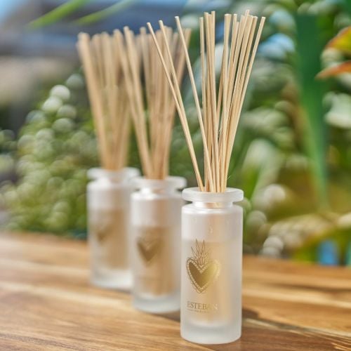 Bouquet parfumé Mangue et citron vert rechargeable 100ml