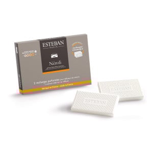 Diffuseur de voiture rechargeable
