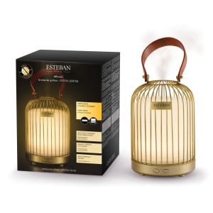 Diffuseur brume de parfum