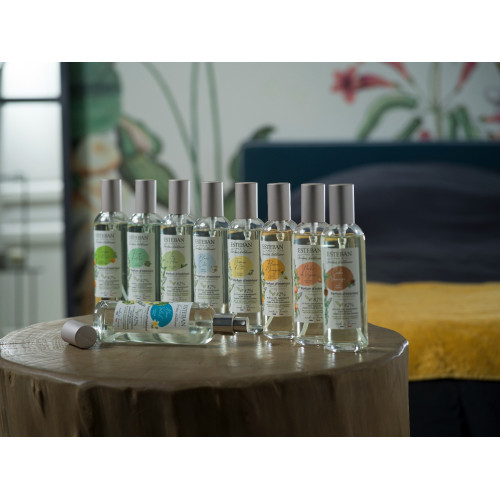 Vaporisateur 100 ml