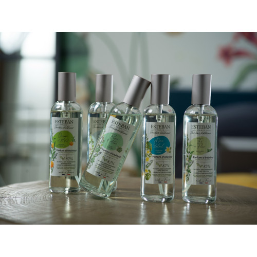 Vaporisateur 100 ml