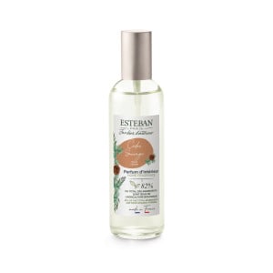 Vaporisateur 100 ml