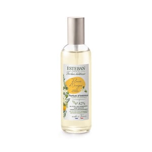 Vaporisateur 100 ml