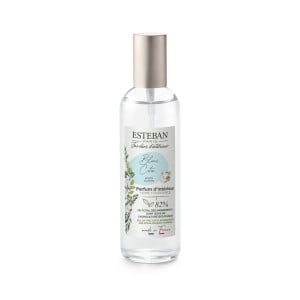Vaporisateur 100 ml