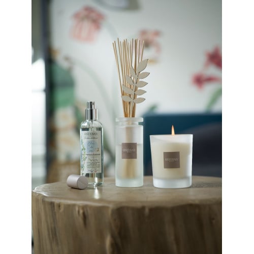 Vaporisateur 100 ml