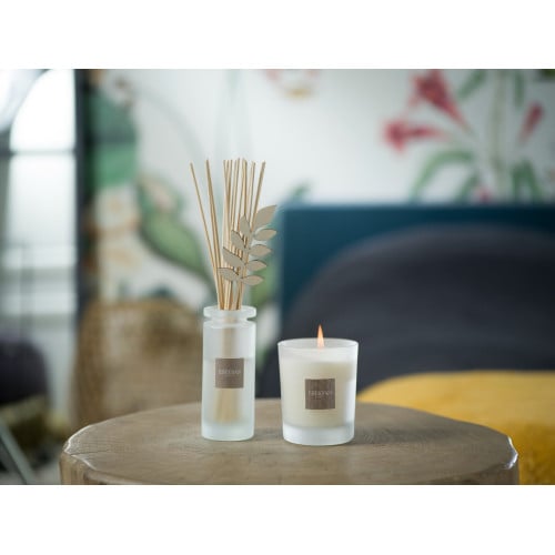 Refill for scented candle
