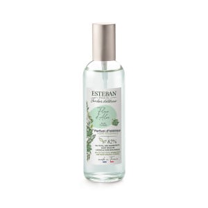 Vaporisateur 100 ml