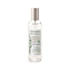 Vaporisateur 100 ml