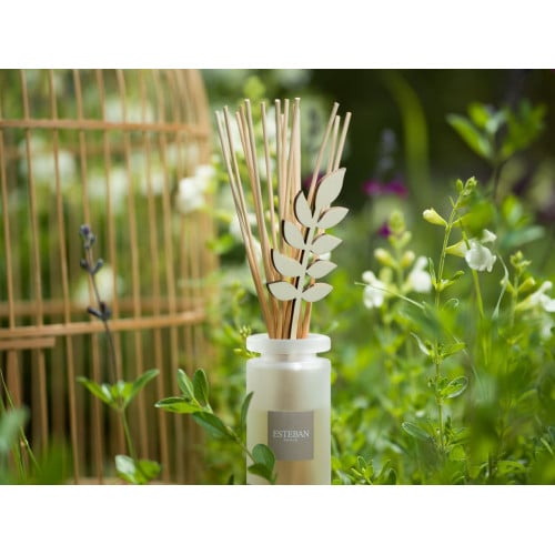 Recharge 500 ml pour bouquet parfumé