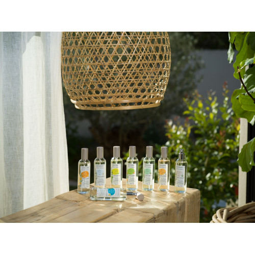 Vaporisateur 100 ml