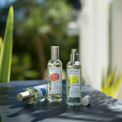 Spray 100 ml