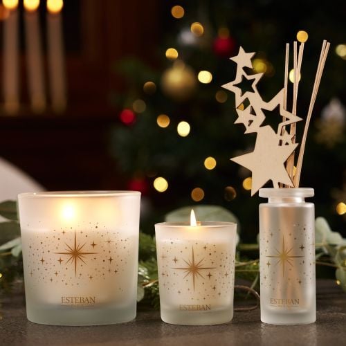 Recharge 250 ml pour bouquet parfumé - Edition Noël