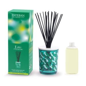 Bouquet parfumé décoratif 100ml