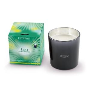 Bougie parfumée rechargeable 450g