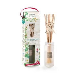 Bouquet parfumé rechargeable 100ml