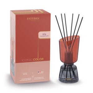 Bouquet parfumé rechargeable 250ml