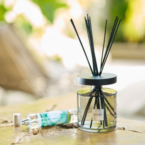 Scented bouquet Ellipse 200ml