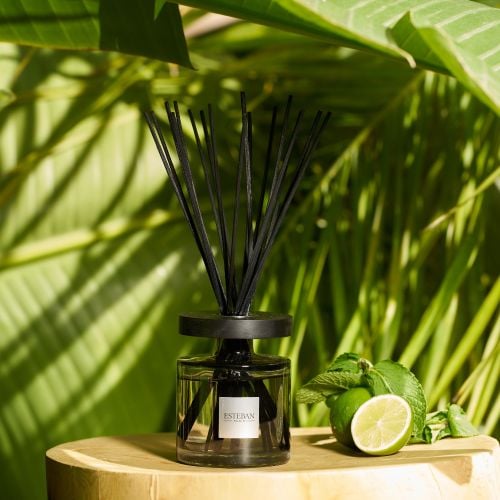 Bouquet parfumé Ellipse 200ml Classique