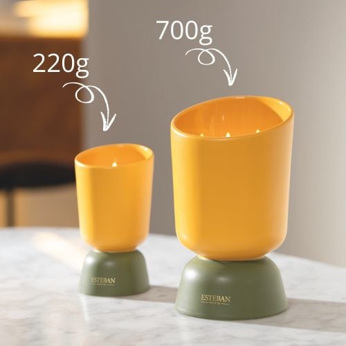 copy of Rechargeable scented candle 700 g
