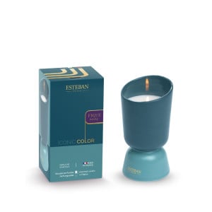 Refillable scented candle 220g Figue Noire