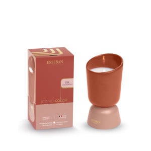 Refillable scented candle 220g Iris Cachemire