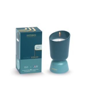 Refillable scented candle 220g Pur Lin