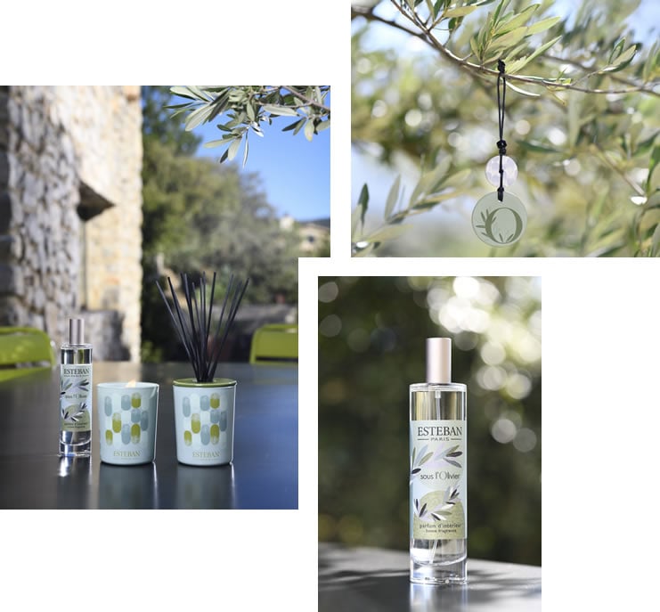 Parfum à l'Olivier