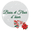 Baies et Fleur d’hiver