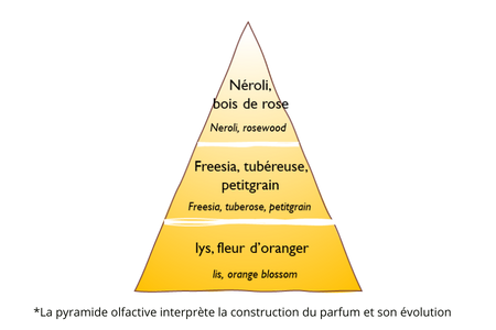 BFO-Pyramide-parfum.png